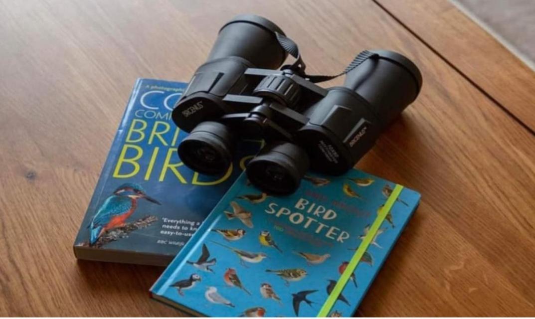 The Gull & Puffin Cresswell Villa Cresswell  Dış mekan fotoğraf